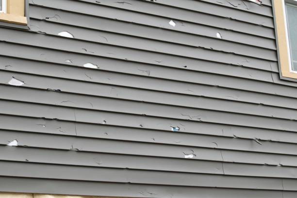 Best Composite Siding  in Venice, FL